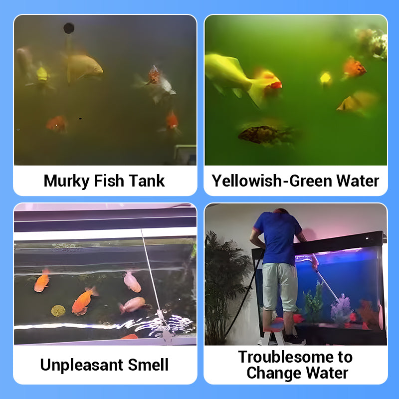 🐠Acquistane 2 e ricevi 1 in omaggio⚡Oltre 50.000 pezzi venduti!♻️Potente pastiglia per la purificazione dell'acqua dell'acquario🌿