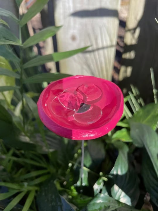 🐝ULTIMO GIORNO 49% DI SCONTO - Stazione di abbeveraggio per api con biglie, abbeveratoio per farfalle, tazze per colibrì