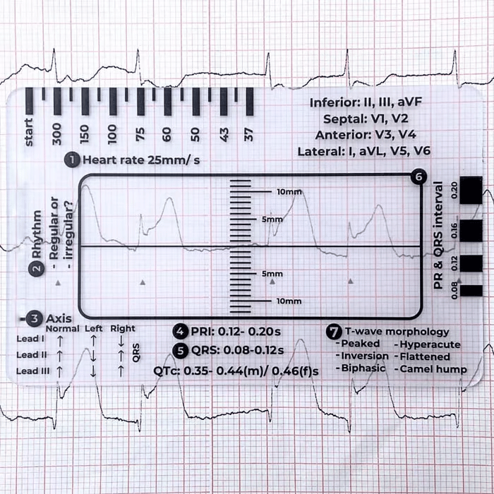 Righello ECG 7 fasi