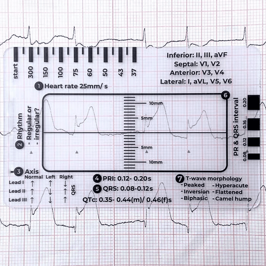 Righello ECG 7 fasi