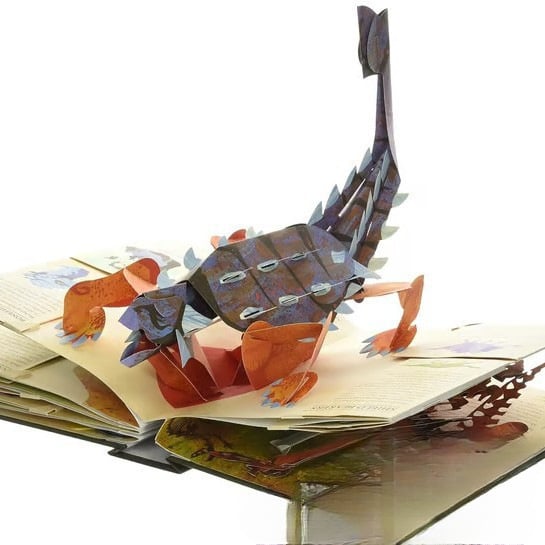 🦖Enciclopedia 3D Prehistorica Dinosauri📙COPERTINA RIGID