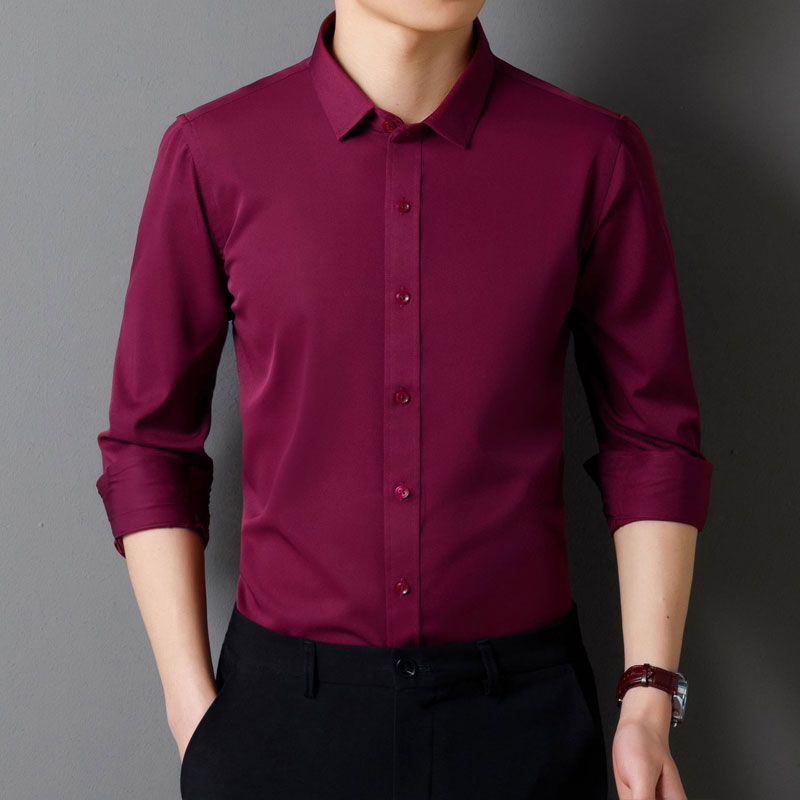 Camicia da uomo button-down senza rughe