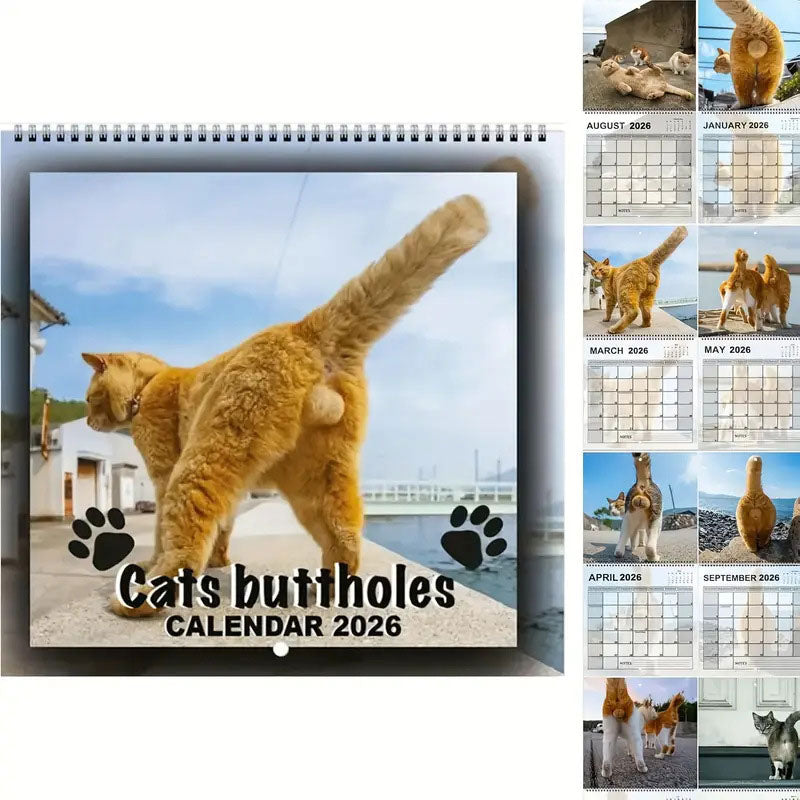 🔥Saldi natalizi 49% di sconto🎄Calendario Gatti 2026