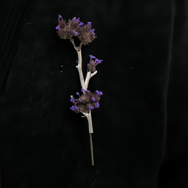 Spilla portafiori in argento con ramo