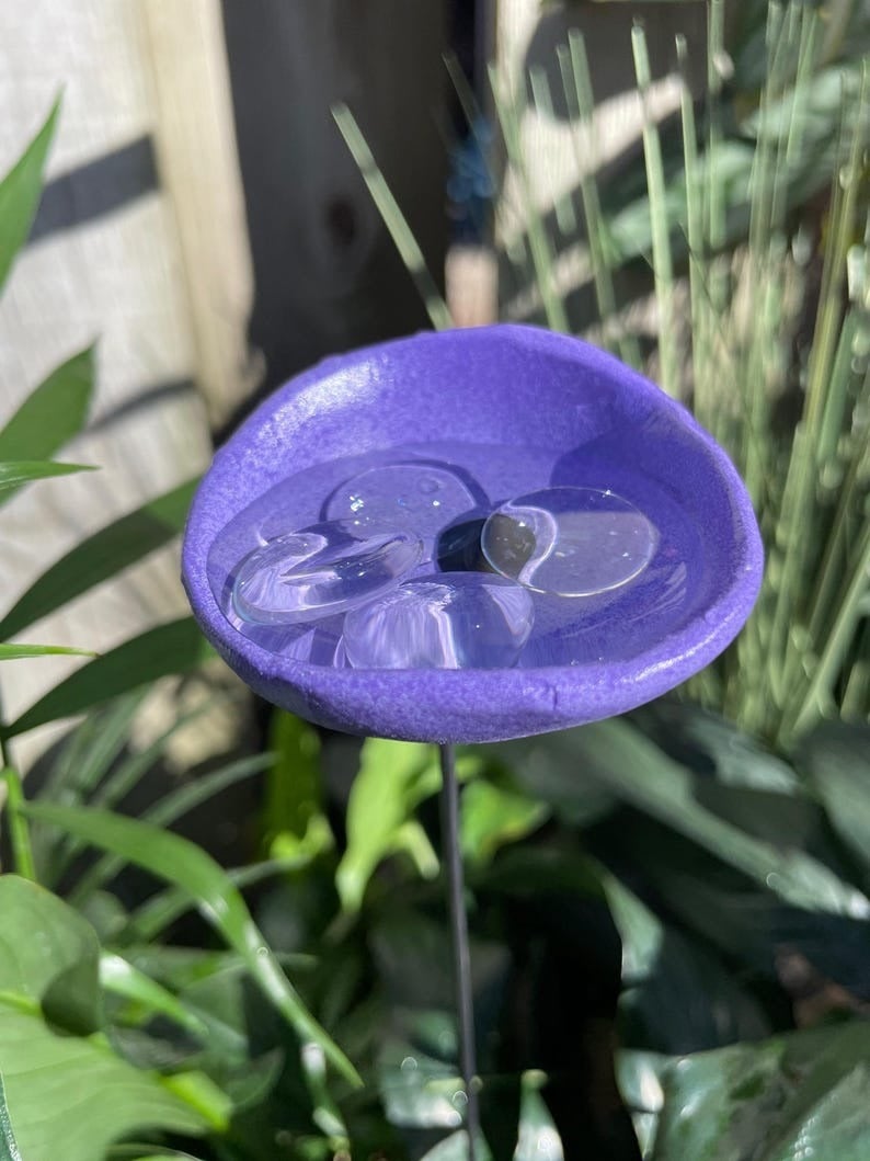 🐝ULTIMO GIORNO 49% DI SCONTO - Stazione di abbeveraggio per api con biglie, abbeveratoio per farfalle, tazze per colibrì