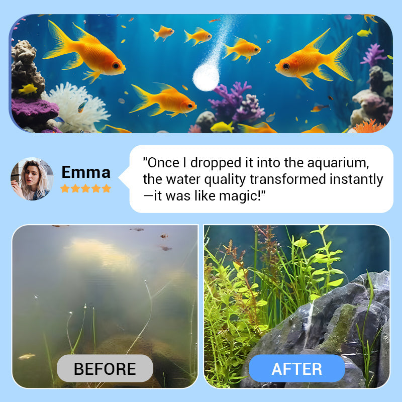 🐠Acquistane 2 e ricevi 1 in omaggio⚡Oltre 50.000 pezzi venduti!♻️Potente pastiglia per la purificazione dell'acqua dell'acquario🌿