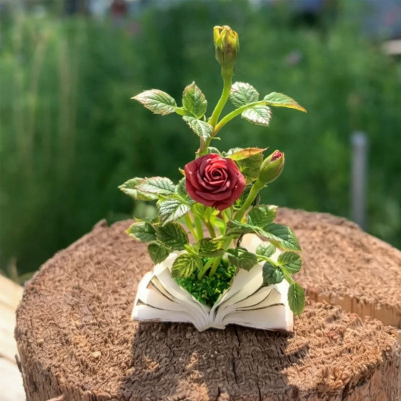 Fiori in miniatura: una fiaba nel palmo della tua mano