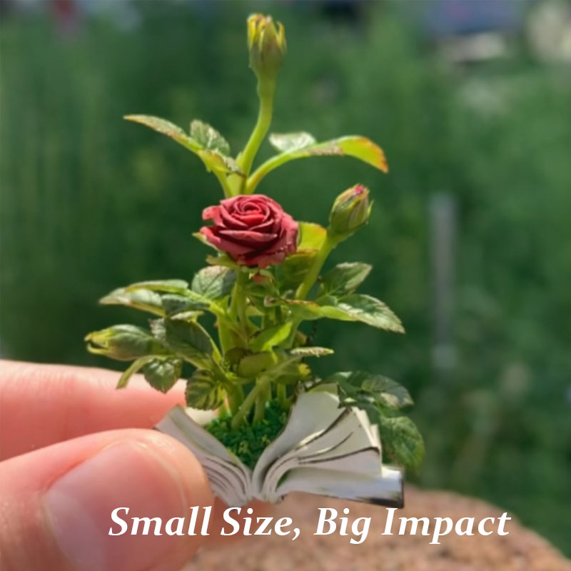 Fiori in miniatura: una fiaba nel palmo della tua mano