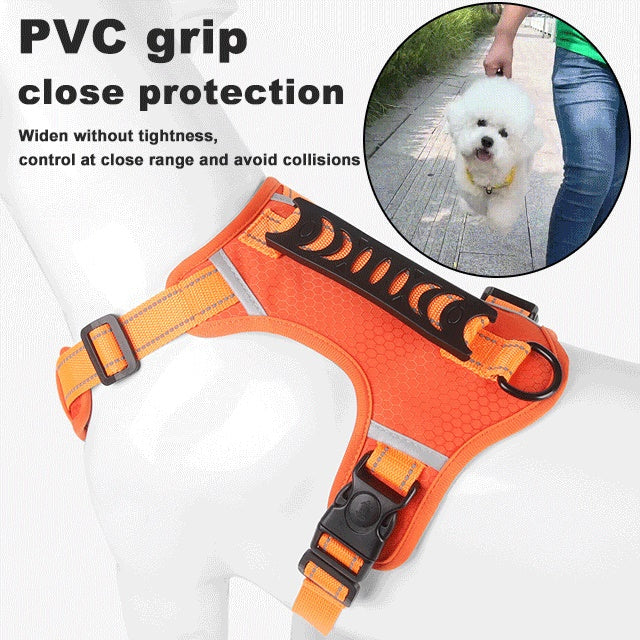 🔥Saldi natalizi 49% di sconto🎄Pettorina anti-tiro per cani domestici