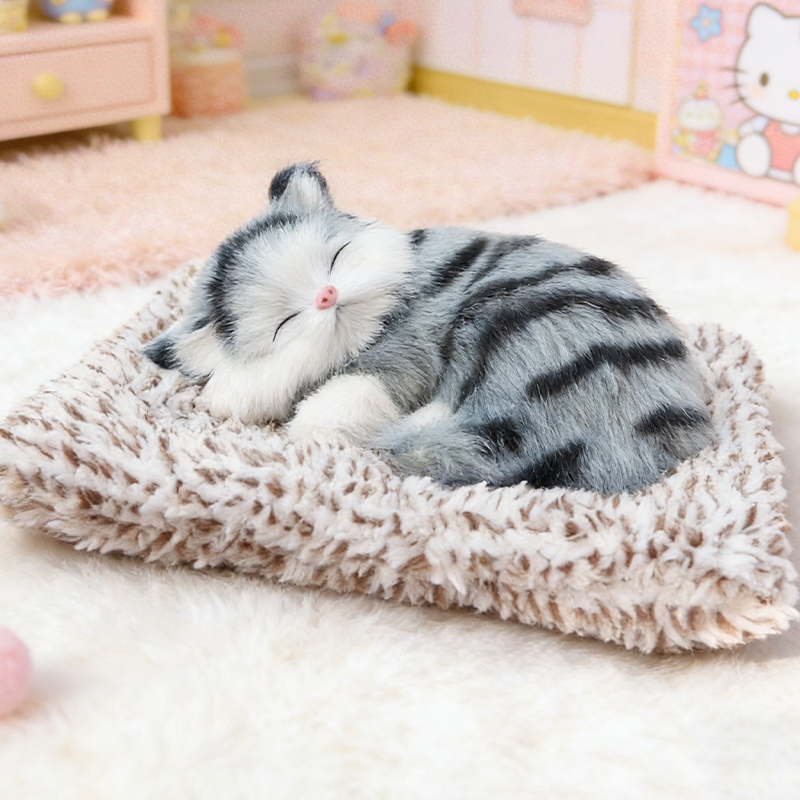 Grazioso gattino di peluche da regalare 🐱