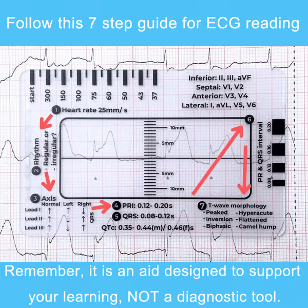 Righello ECG 7 fasi