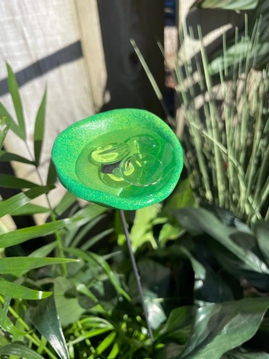 🐝ULTIMO GIORNO 49% DI SCONTO - Stazione di abbeveraggio per api con biglie, abbeveratoio per farfalle, tazze per colibrì
