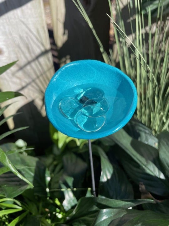 🐝ULTIMO GIORNO 49% DI SCONTO - Stazione di abbeveraggio per api con biglie, abbeveratoio per farfalle, tazze per colibrì