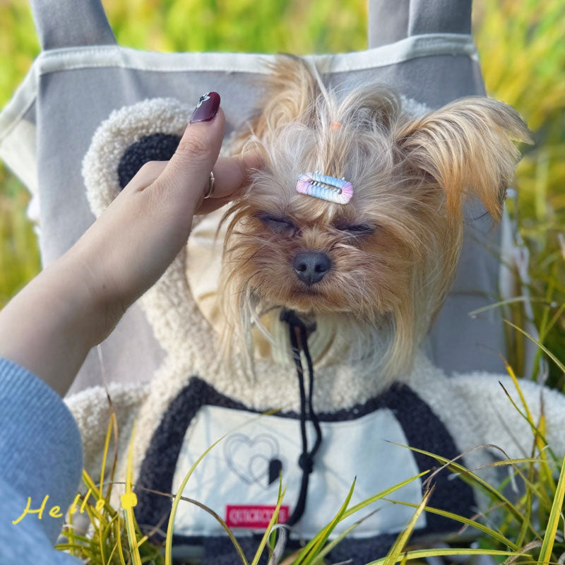 Borsa da viaggio per animali domestici
