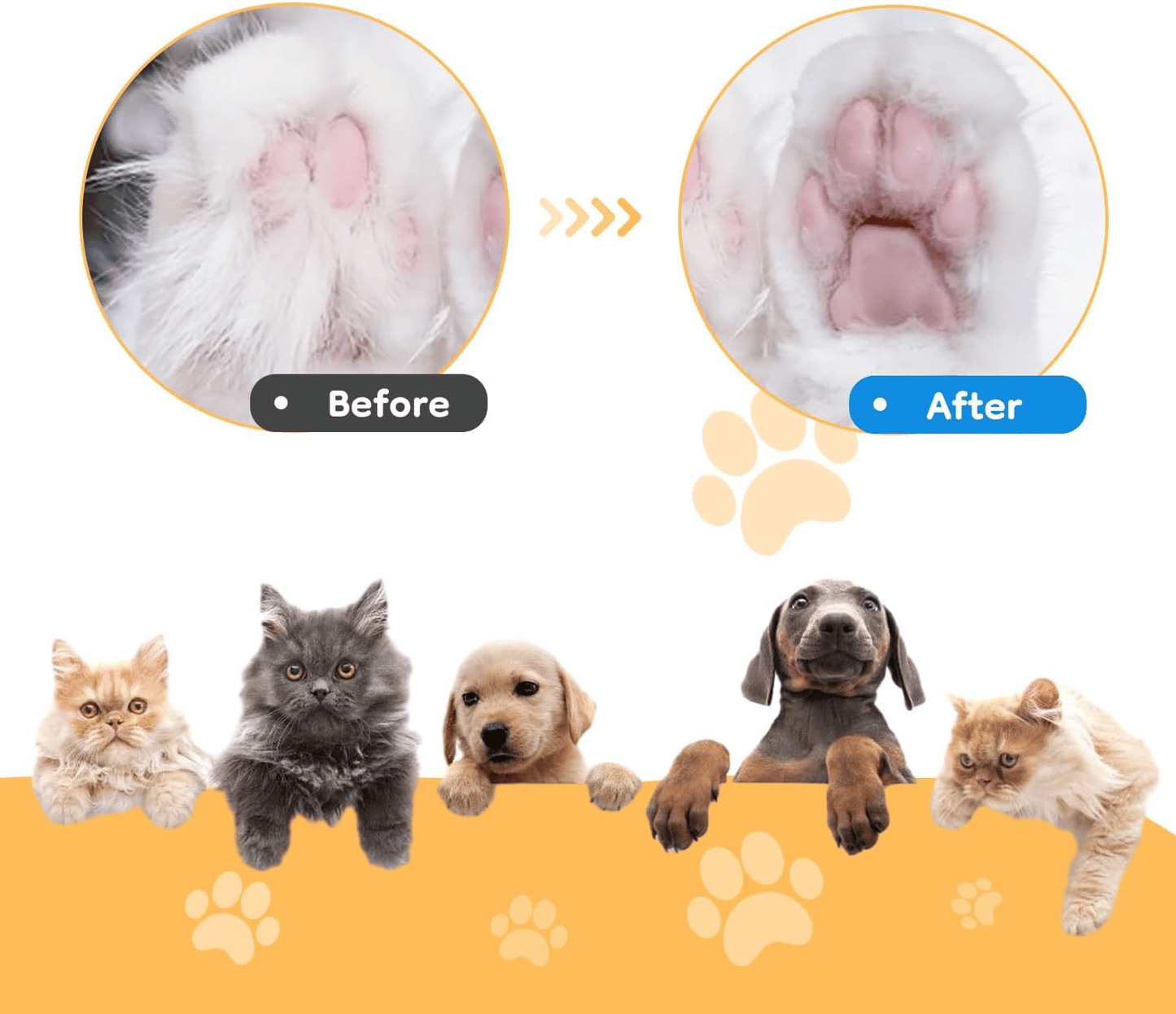🐕Kit ricaricabile per tosare gli animali domestici✨