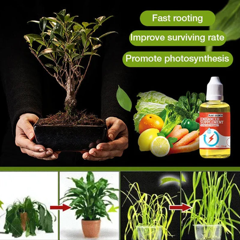 Integratore per favorire la crescita delle piante