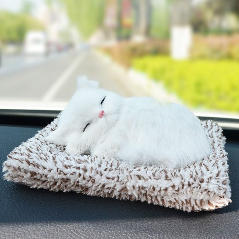 Grazioso gattino di peluche da regalare 🐱