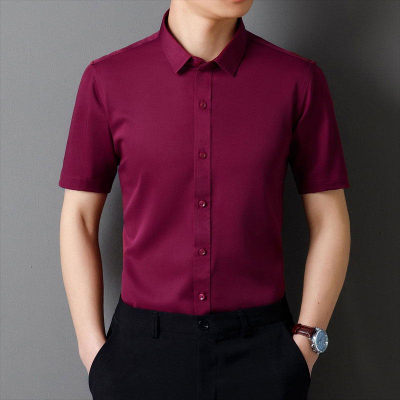 Camicia da uomo button-down senza rughe