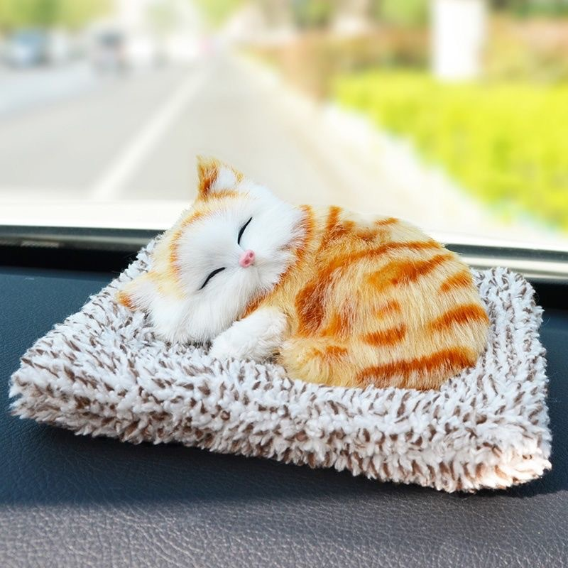 Grazioso gattino di peluche da regalare 🐱