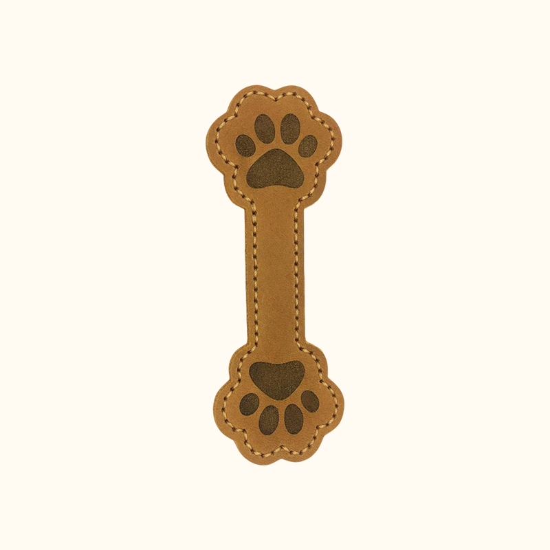 Segnalibri magnetic