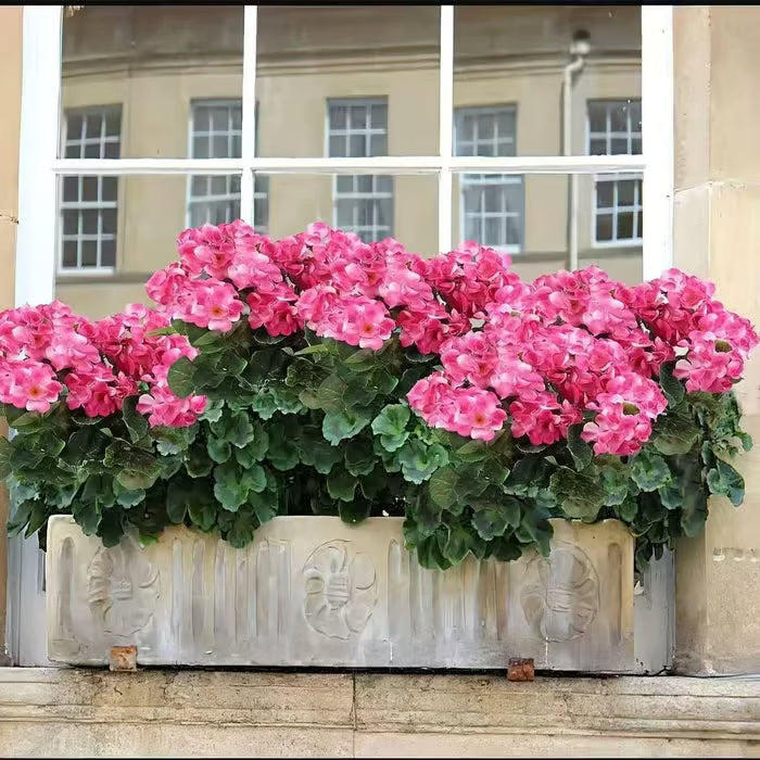 Gerani artificiali resistenti ai raggi UV – Fiori finti rossi da esterno per terrazze, giardini e decorazioni per la casa