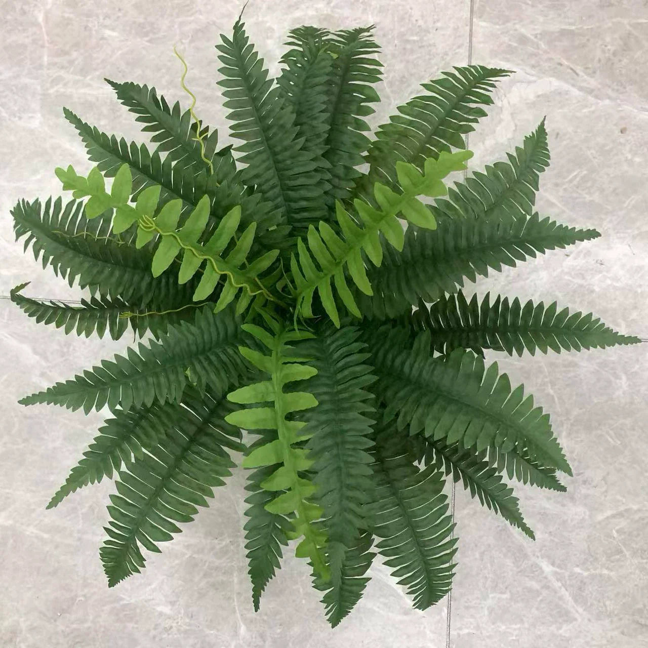 🌱 Fella di Boston artificiale realistica e resistente ai raggi UV