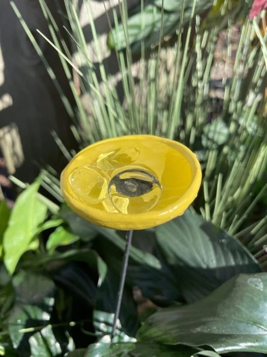 🐝ULTIMO GIORNO 49% DI SCONTO - Stazione di abbeveraggio per api con biglie, abbeveratoio per farfalle, tazze per colibrì