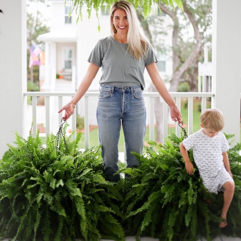 🌱 Fella di Boston artificiale realistica e resistente ai raggi UV