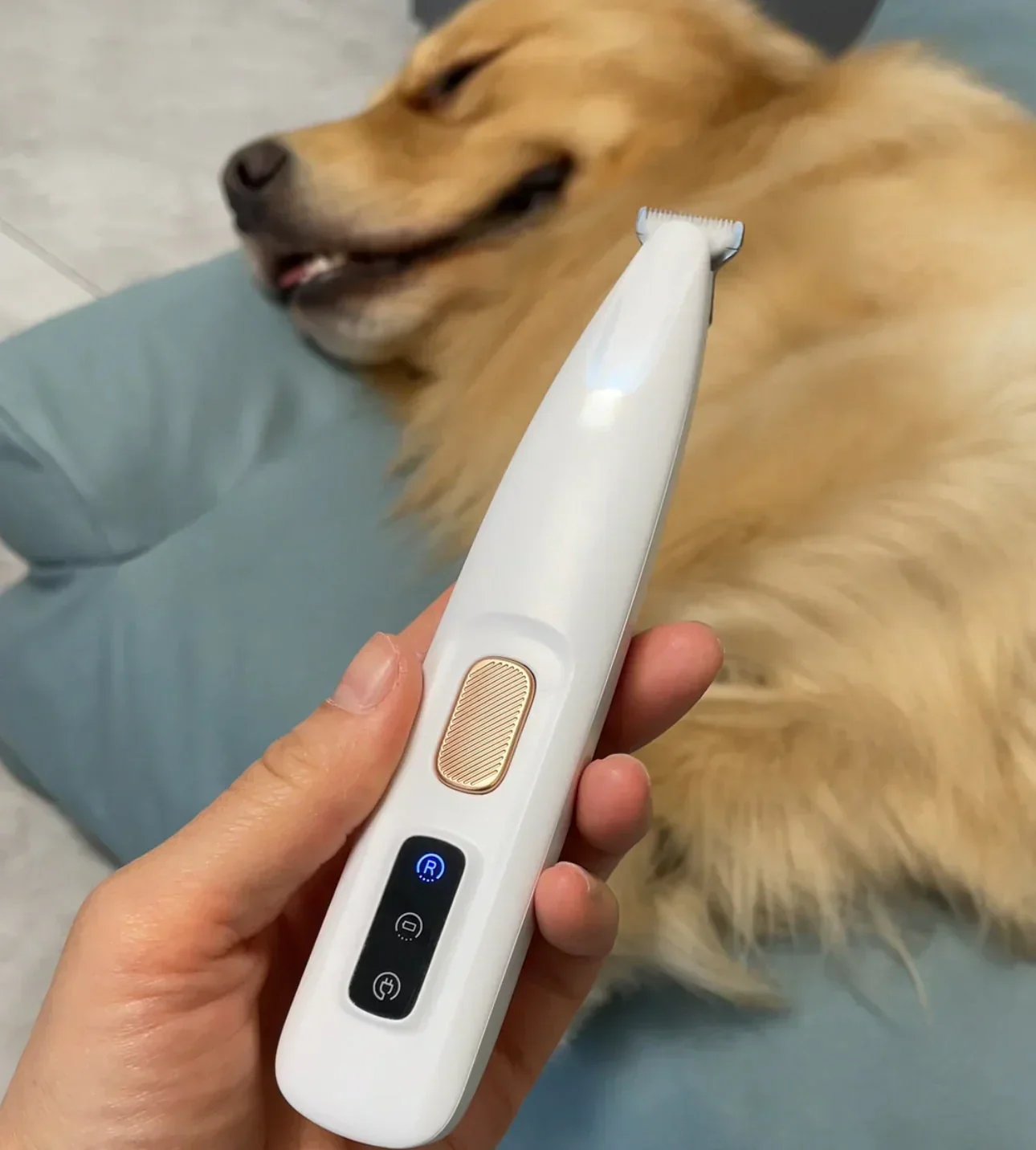 🐕Kit ricaricabile per tosare gli animali domestici✨