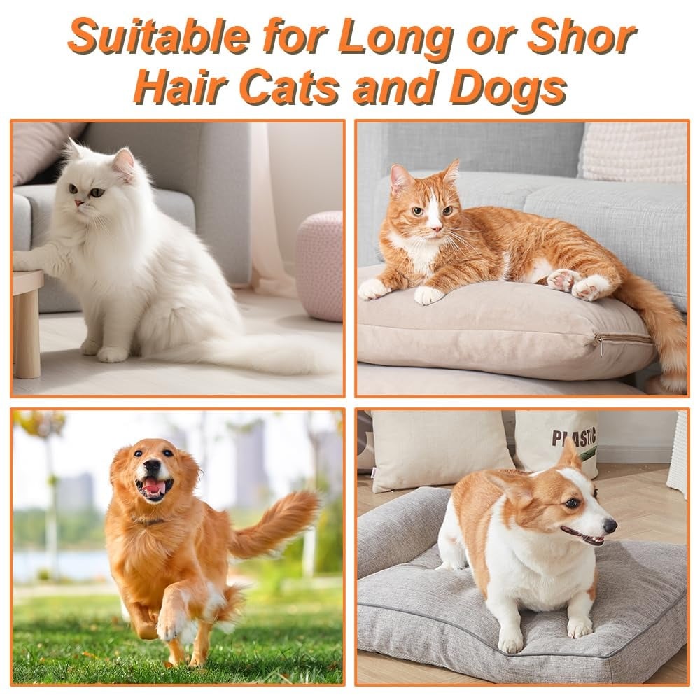 🔥Promozione dell'ultimo giorno 49% DI SCONTO - Spazzola a vapore per animali domestici