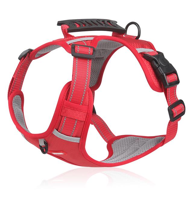 🔥Saldi natalizi 49% di sconto🎄Pettorina anti-tiro per cani domestici