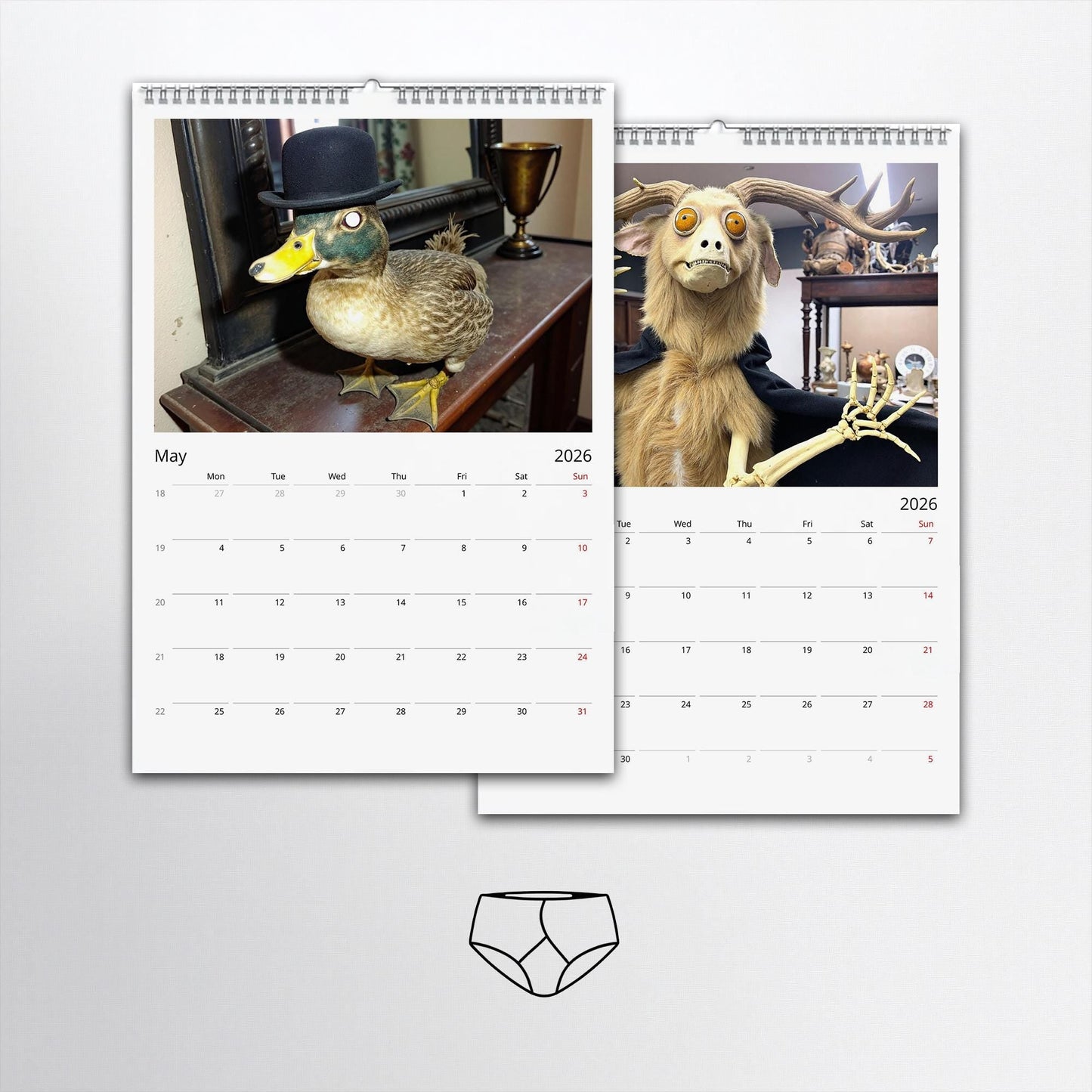 Calendario da parete 2026 Bad Taxidermy – Tassidermia bizzarra, disgustosa e esilarante🔥Saldi natalizi 49% di sconto🎄