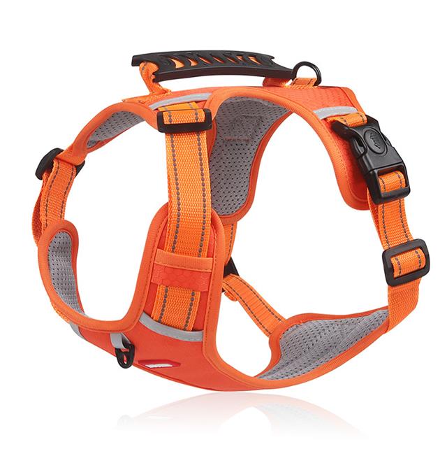 🔥Saldi natalizi 49% di sconto🎄Pettorina anti-tiro per cani domestici