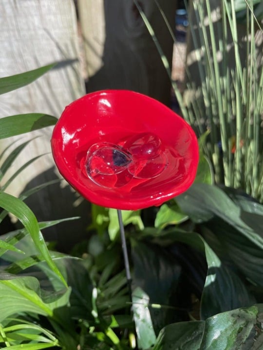 🐝ULTIMO GIORNO 49% DI SCONTO - Stazione di abbeveraggio per api con biglie, abbeveratoio per farfalle, tazze per colibrì