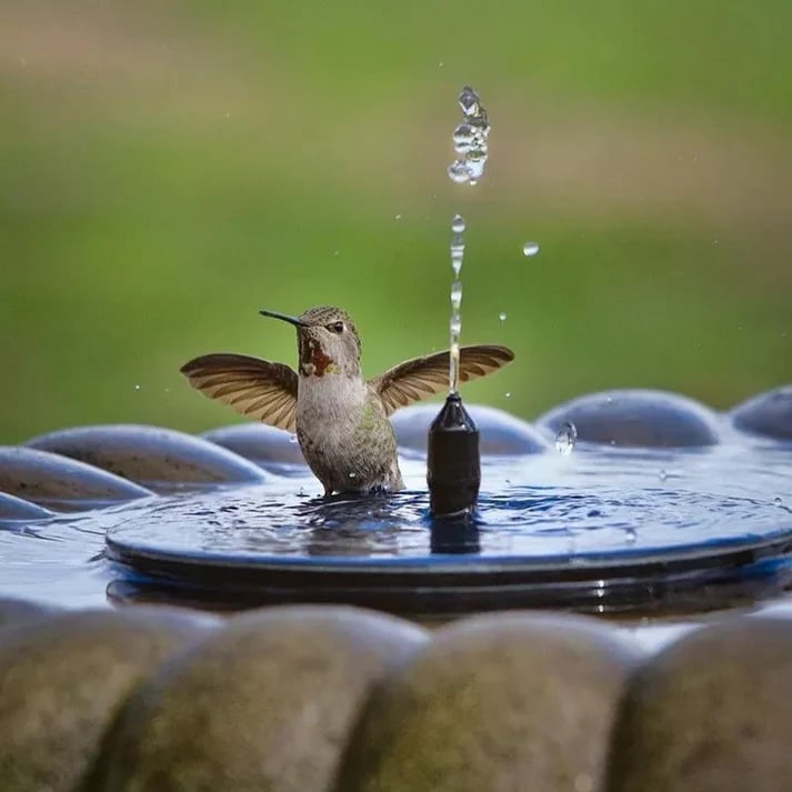 ⏳Offerta speciale a tempo limitato⏰ Pompa solare compatta per fontana a forma di uccellino – Dai vita al tuo giardino! 🐦️