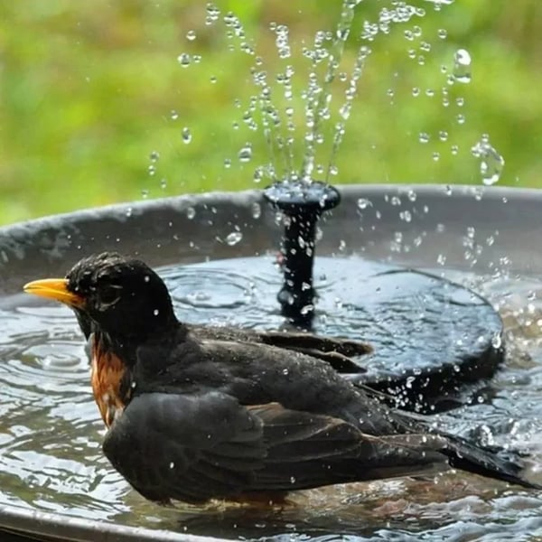 ⏳Offerta speciale a tempo limitato⏰ Pompa solare compatta per fontana a forma di uccellino – Dai vita al tuo giardino! 🐦️