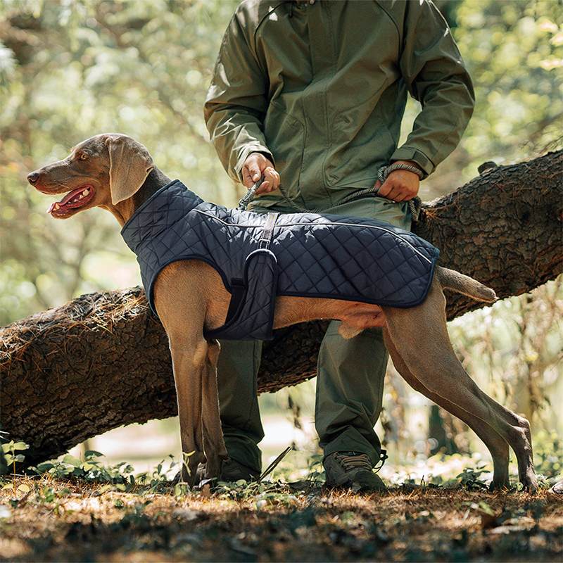 Cappotto riflettente invernale per cani all'apert🔥Saldi natalizi 49% di sconto🎄