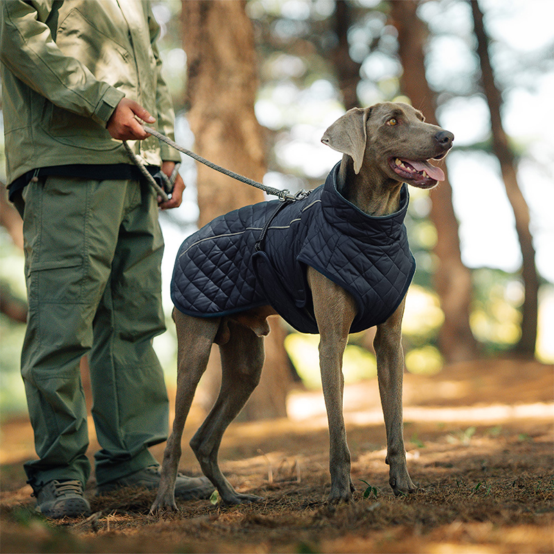 Cappotto riflettente invernale per cani all'apert🔥Saldi natalizi 49% di sconto🎄