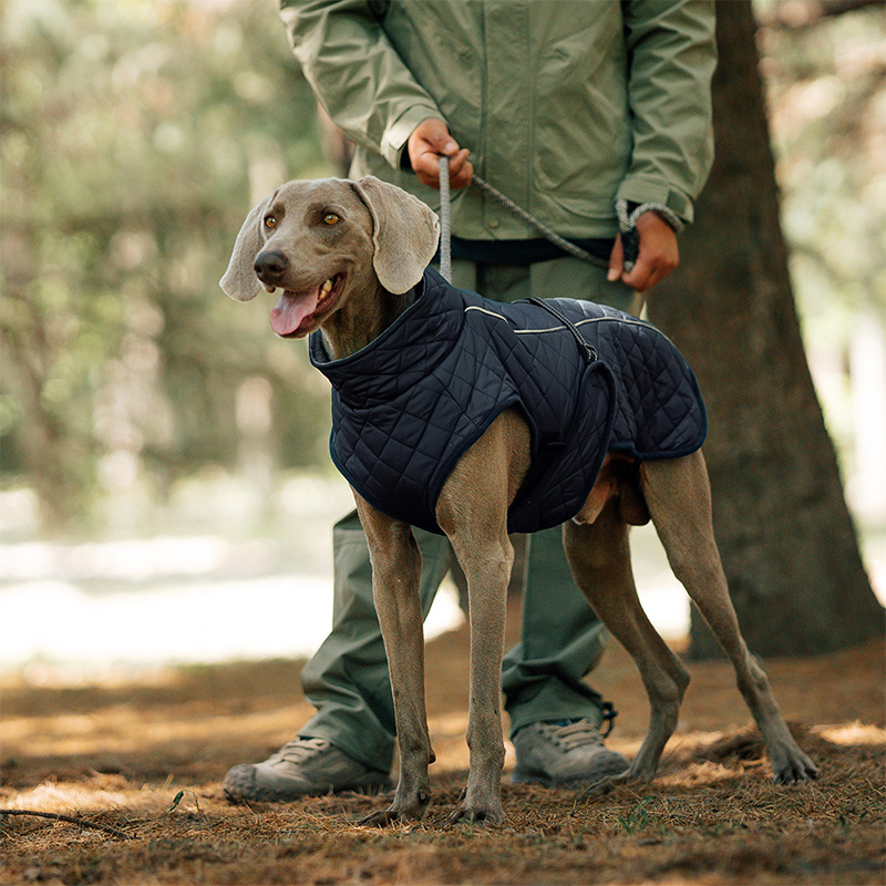 Cappotto riflettente invernale per cani all'apert🔥Saldi natalizi 49% di sconto🎄