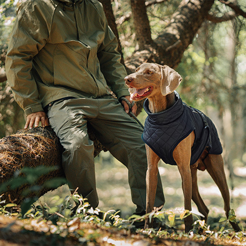 Cappotto riflettente invernale per cani all'apert🔥Saldi natalizi 49% di sconto🎄