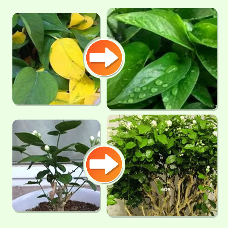🌱 Bastoncini fertilizzanti a lunga durata – NPK bilanciato per radici, foglie e fiori! 🌿✨
