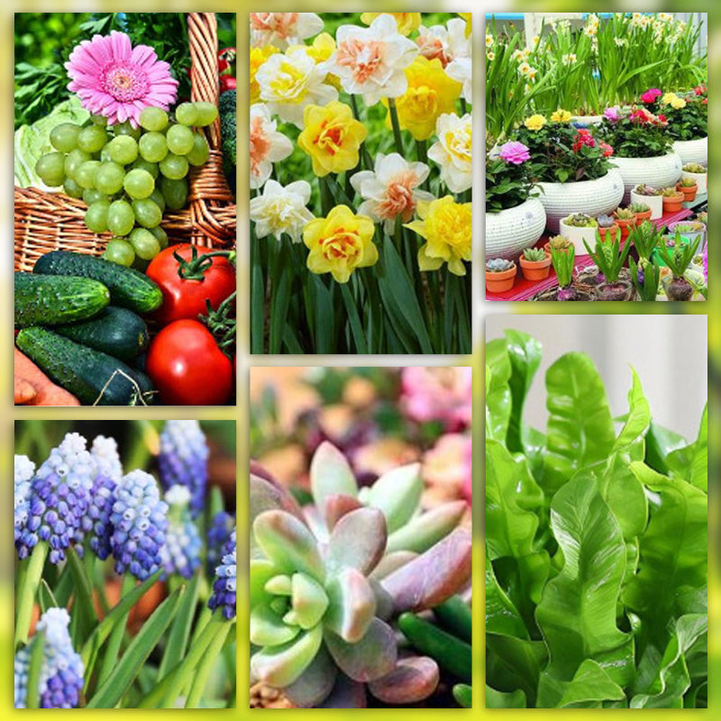 🌱 Bastoncini fertilizzanti a lunga durata – NPK bilanciato per radici, foglie e fiori! 🌿✨