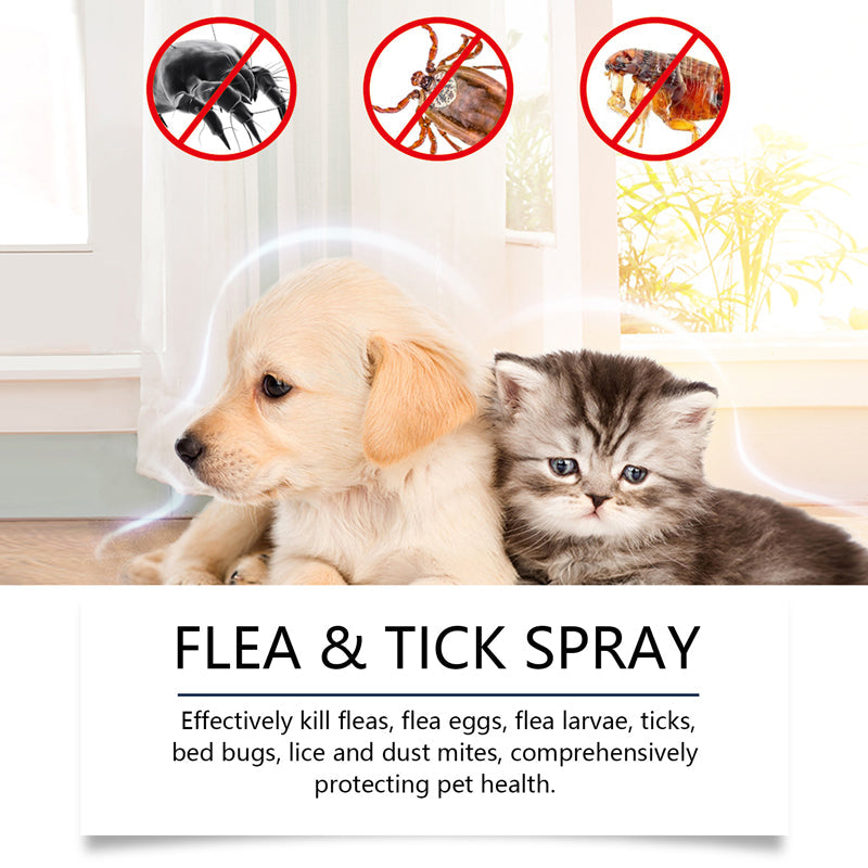 Spray naturale contro pulci e zecche per cani e gatti🐾Proteggi il tuo amato animale domestico dai parassiti 🐾