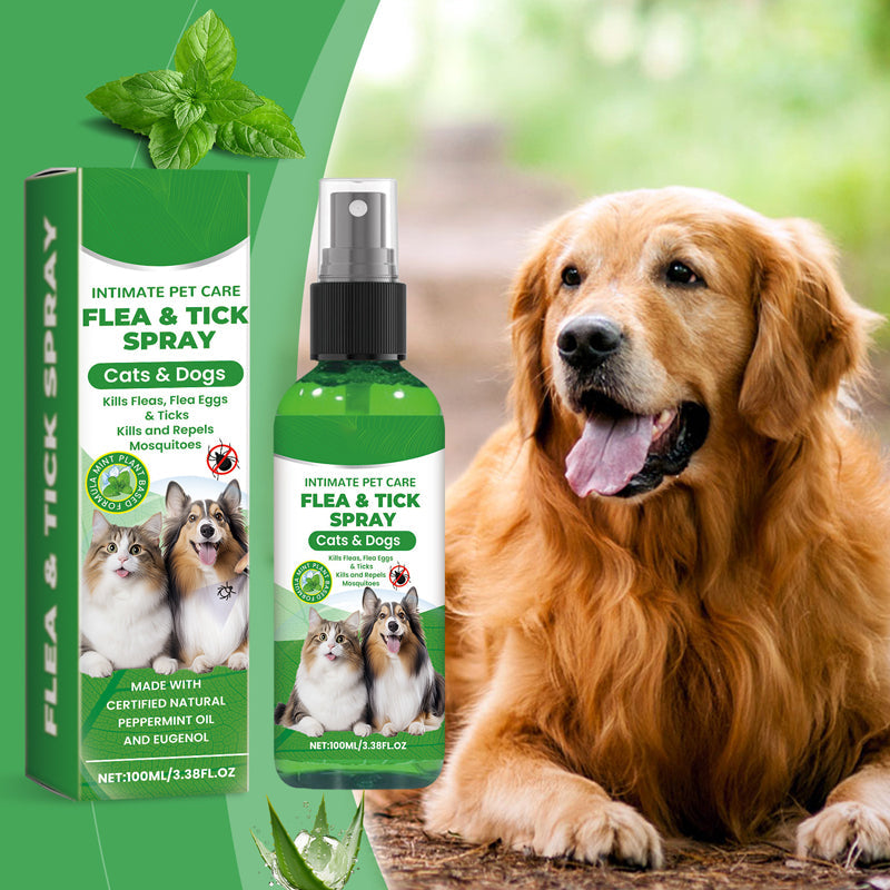 Spray naturale contro pulci e zecche per cani e gatti🐾Proteggi il tuo amato animale domestico dai parassiti 🐾