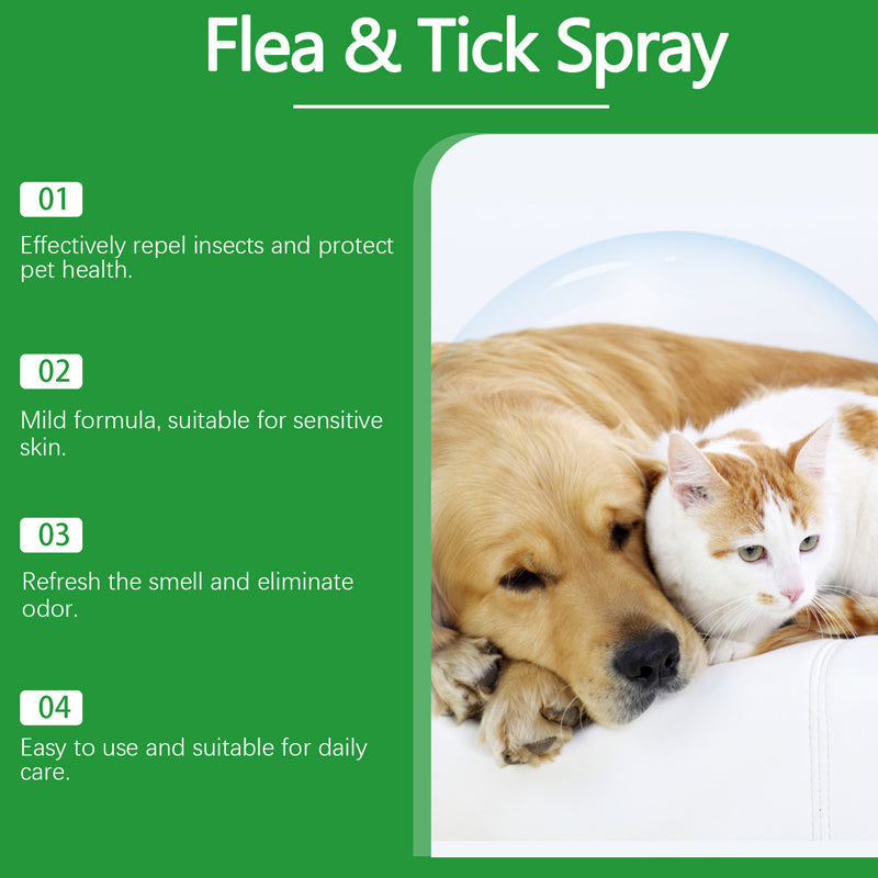 Spray naturale contro pulci e zecche per cani e gatti🐾Proteggi il tuo amato animale domestico dai parassiti 🐾