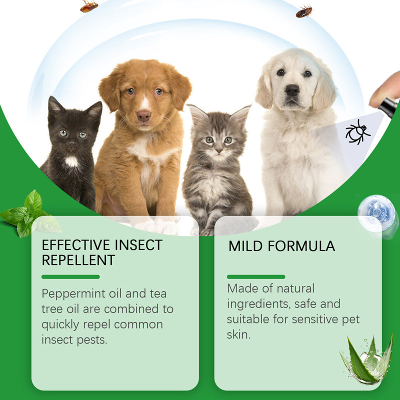 Spray naturale contro pulci e zecche per cani e gatti🐾Proteggi il tuo amato animale domestico dai parassiti 🐾