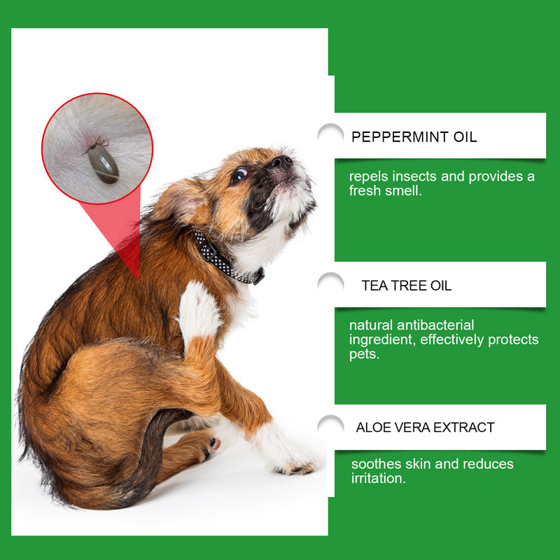 Spray naturale contro pulci e zecche per cani e gatti🐾Proteggi il tuo amato animale domestico dai parassiti 🐾