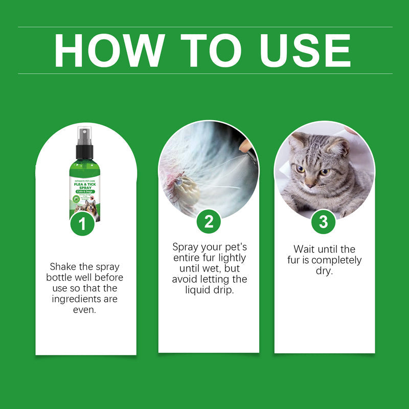 Spray naturale contro pulci e zecche per cani e gatti🐾Proteggi il tuo amato animale domestico dai parassiti 🐾